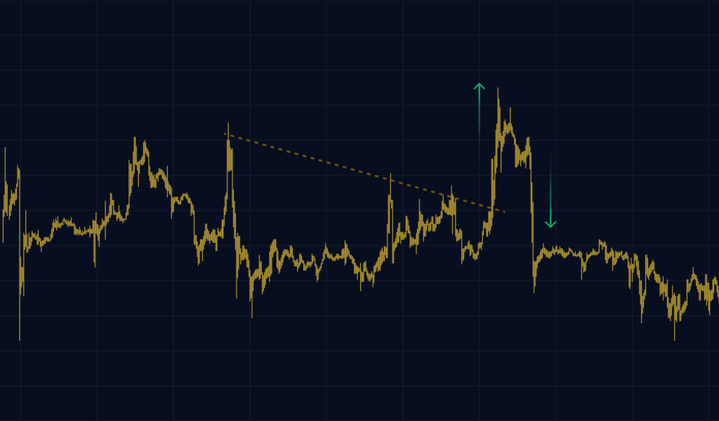 Exness Broker | Start Trading with Confidence