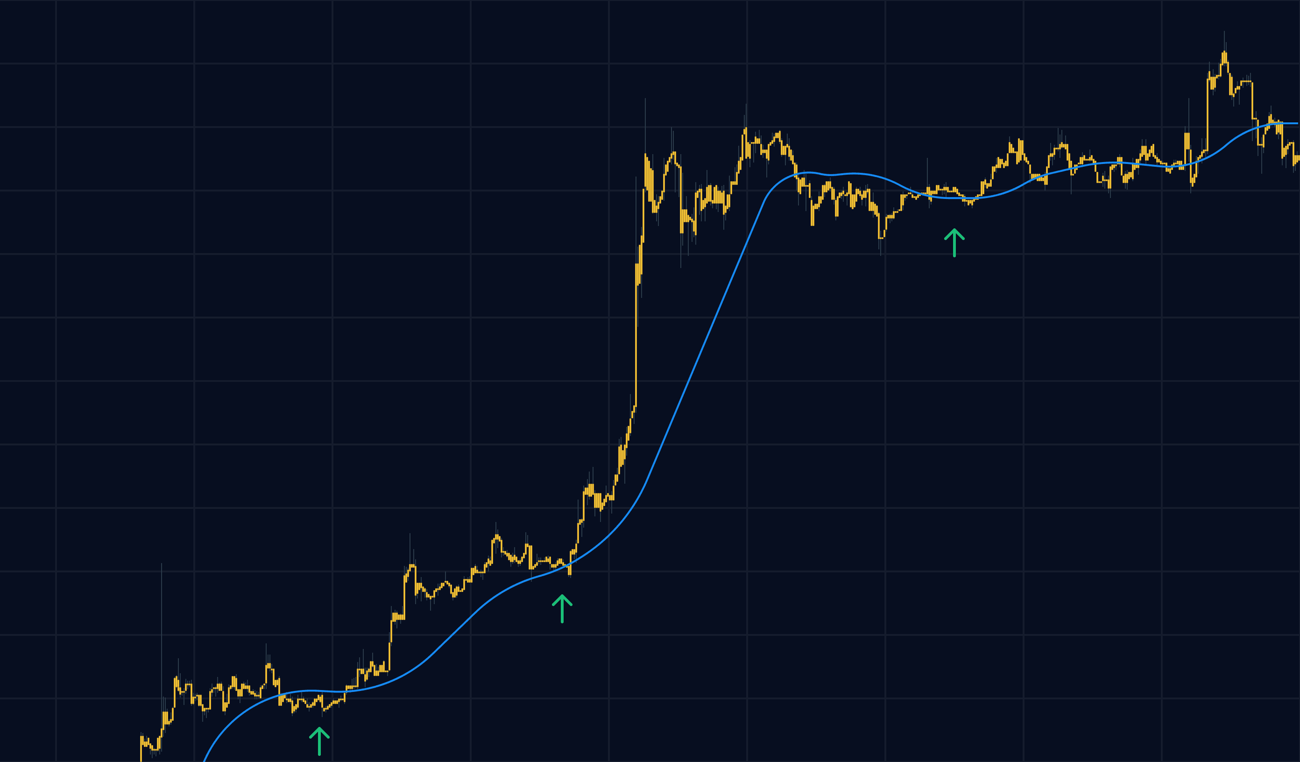 Join Exness MT4 and Start Trading Today